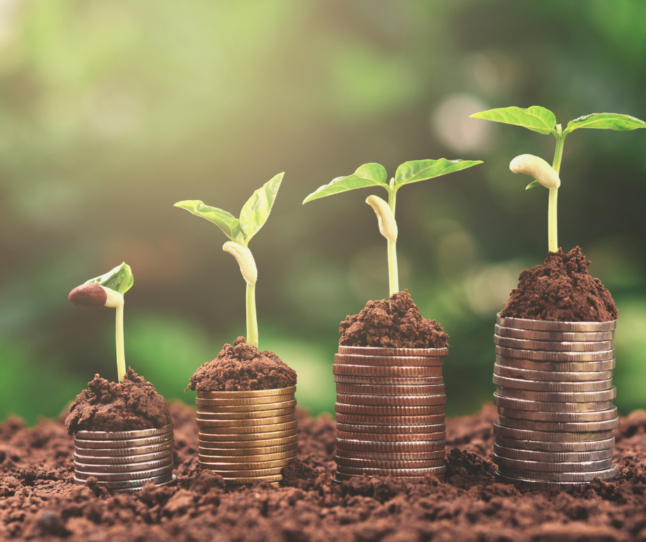 webinar financiamiento CAME